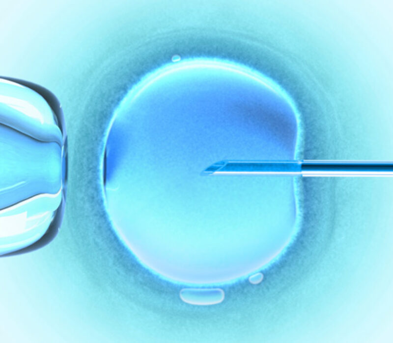 Hva mener «folk flest» om bioteknologi?