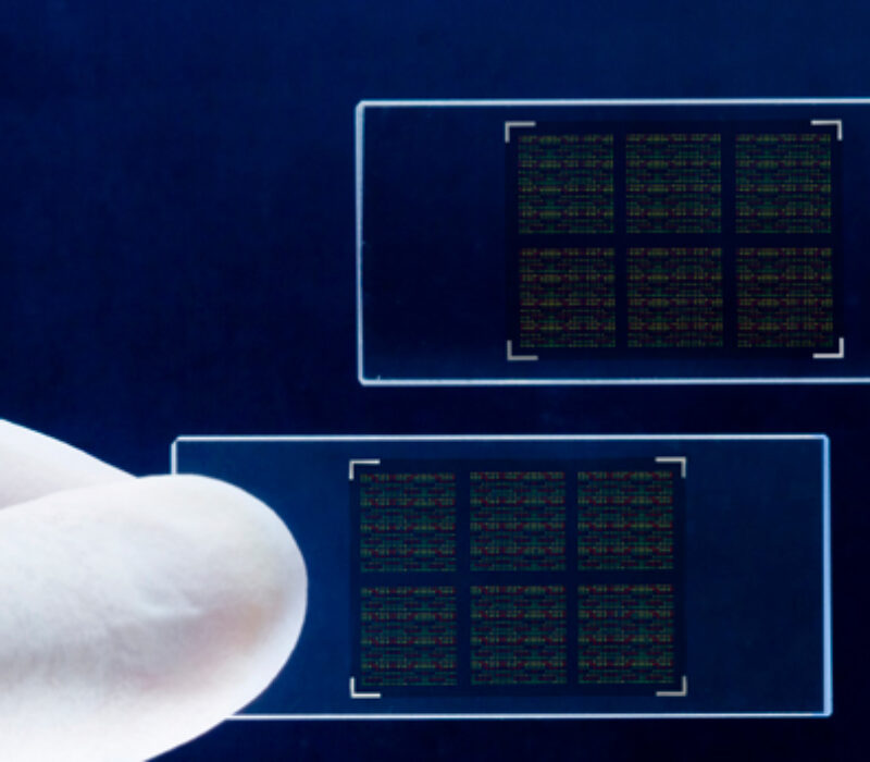 Innspill til nasjonal strategi for bioteknologi