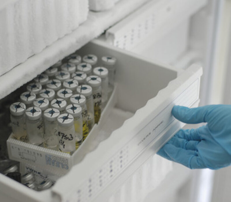 Biobanksatsing må være robust