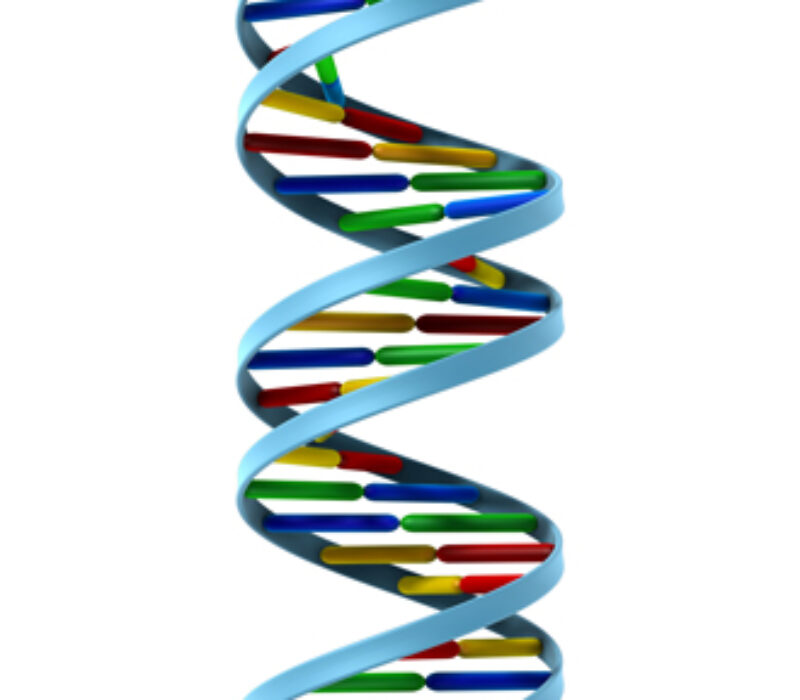 Bioteknologisk tidslinje 2000–2010