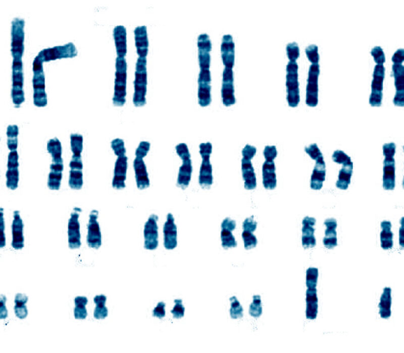 Genetisk familiedrama