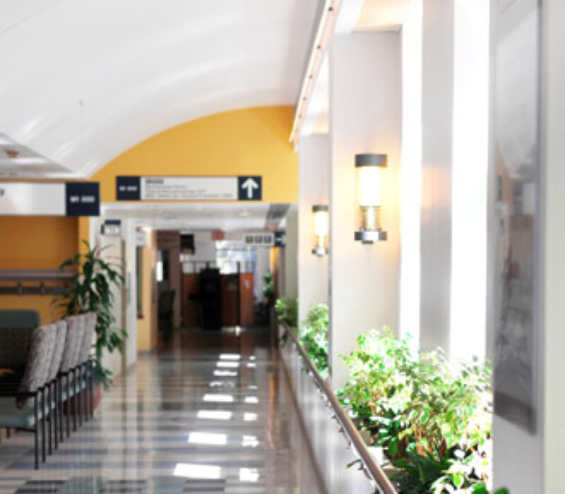 Bevaring av kjønnsceller for transseksuelle personer