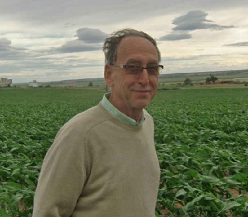 Ønskjer GMO-frie soner