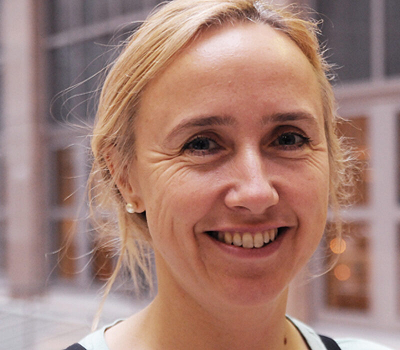 Etiker om genmodifiserte akvariefisker