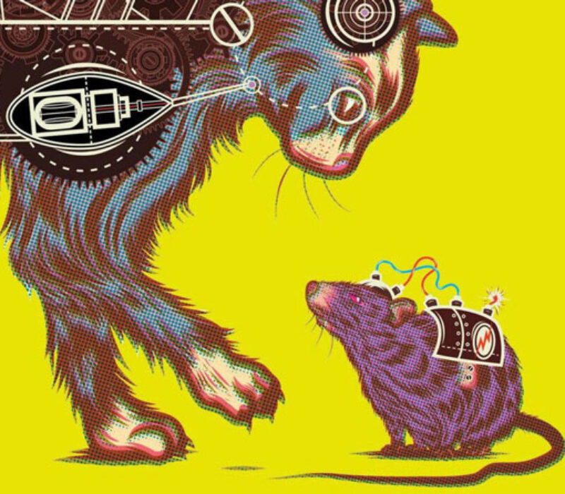 Er det greit å farge katten grønn?