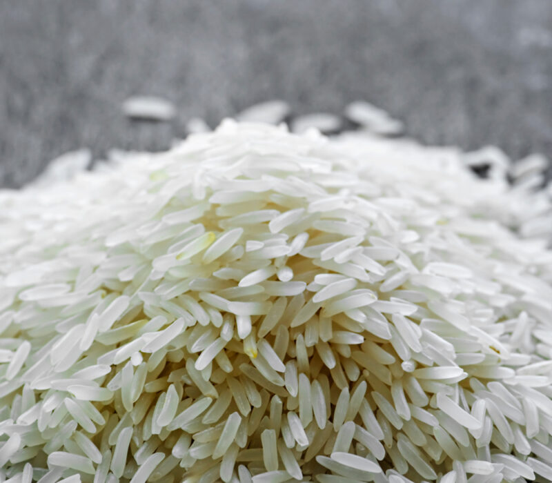 Jaktar på ukjende GMO-ar