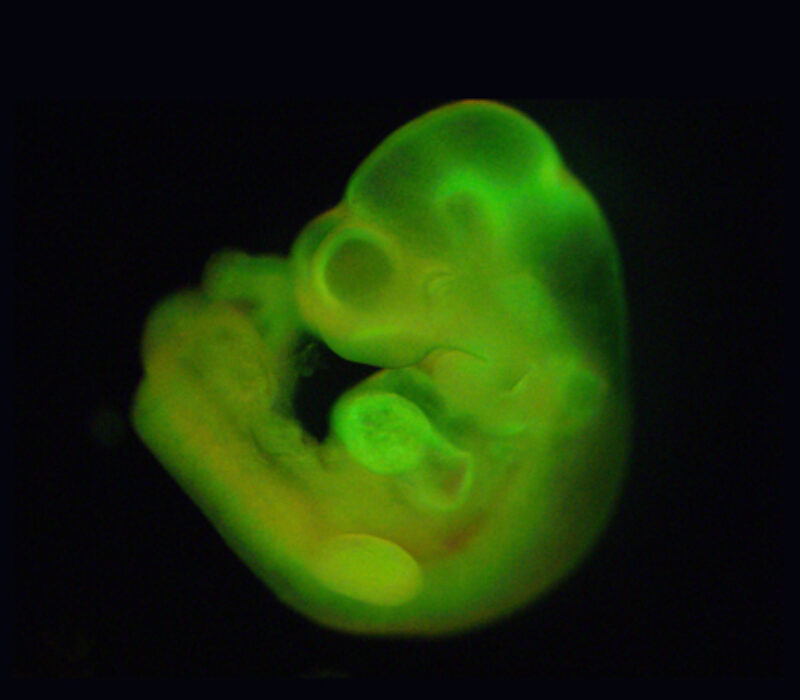 For godt til å være sant?