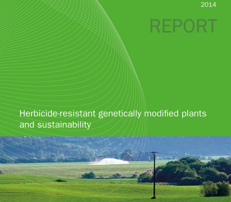 Rapport om genmodifiserte plantar og berekraft på engelsk