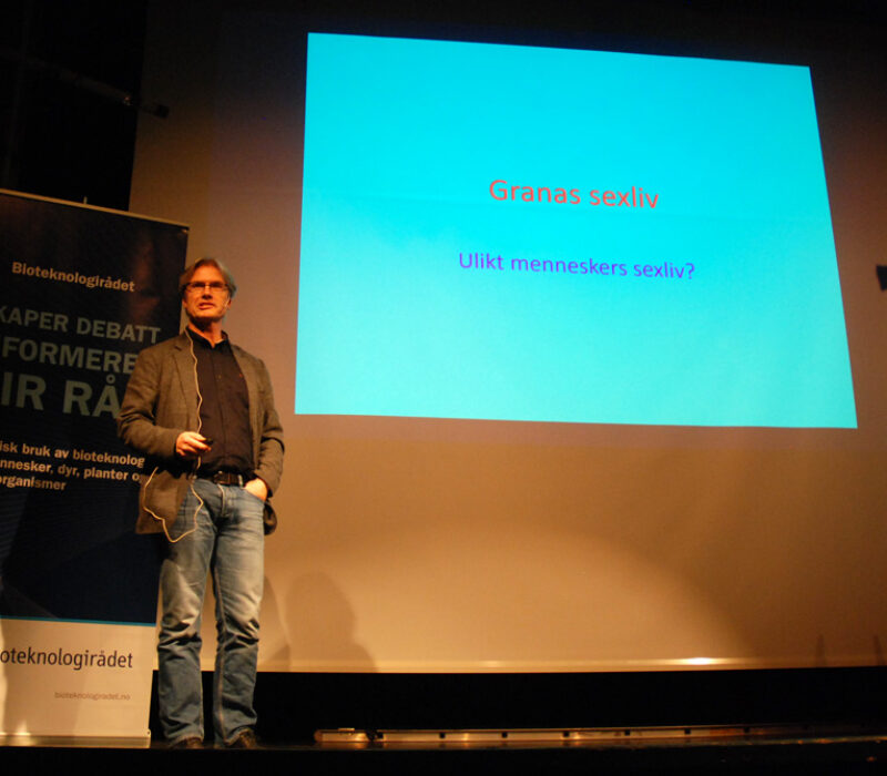 Se video: Studenkveld i Ås