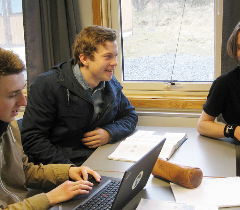 Undommens bioteknologiråd – les svarene