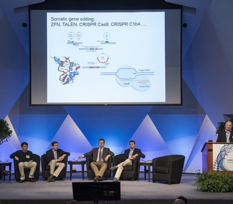 Vil forske på genredigerte embryoer