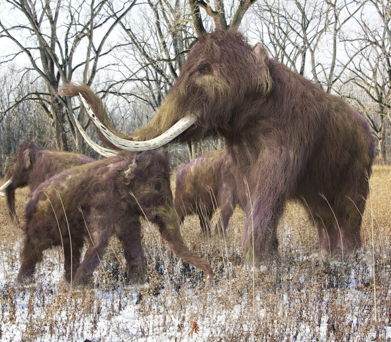 Her er frukostforedraga for hausten