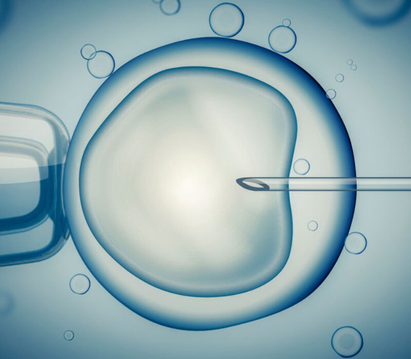 Holder døra åpen for genmodifiserte embryoer