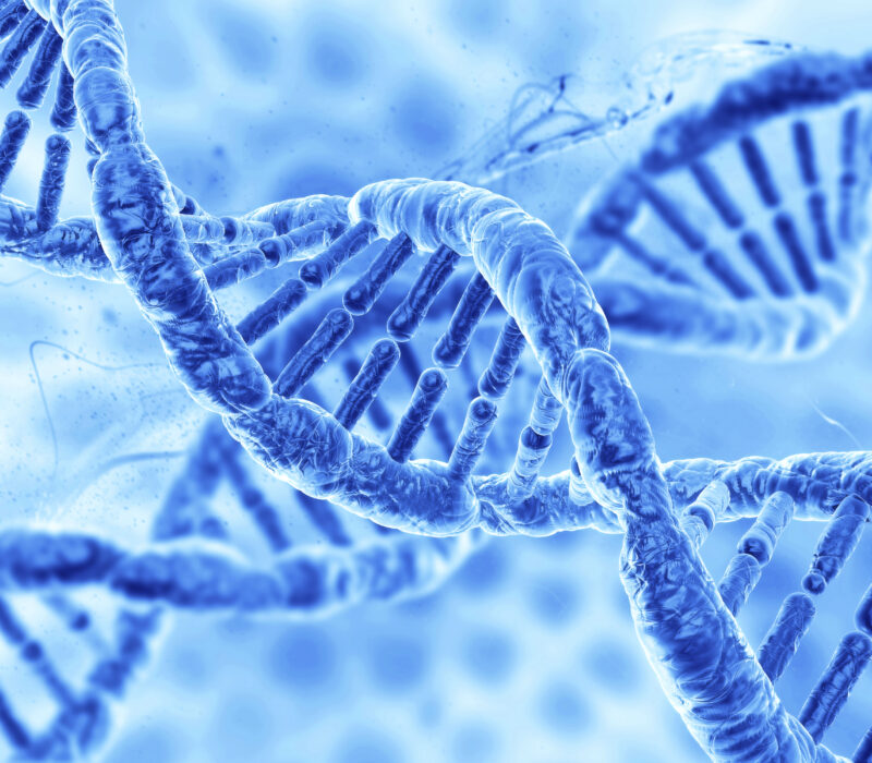 Livet uten DNA-reparasjon? Ikke særlig nobelt.