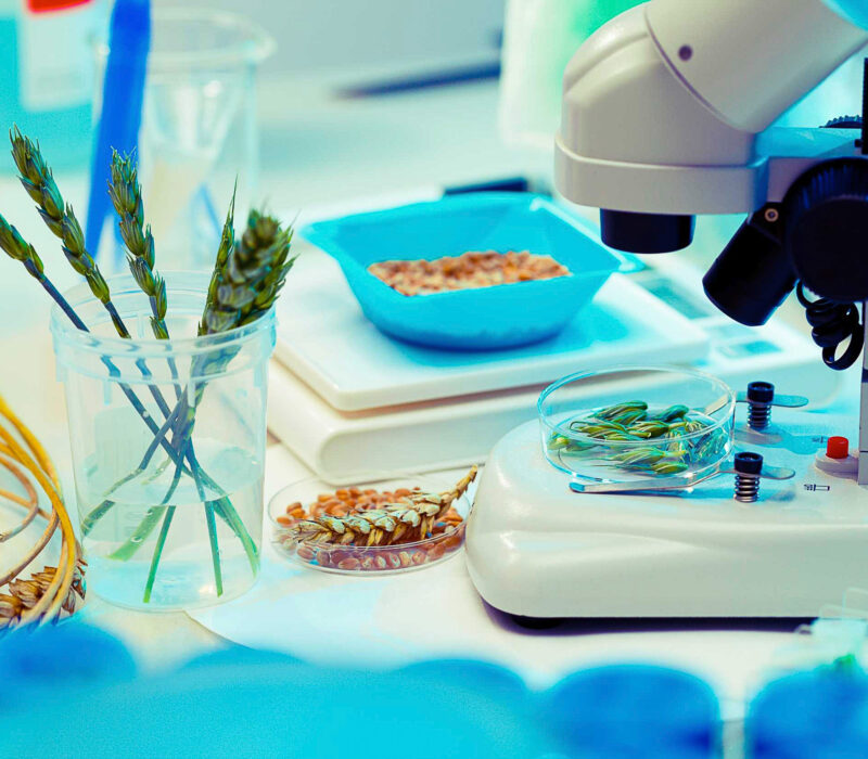 Åpent møte i Tromsø 15. mars: Fremtidens regulering av genmodifiserte organismer (GMO)