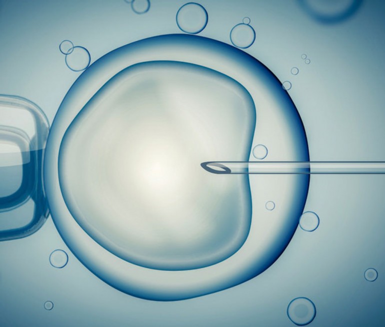 Embryo med nål