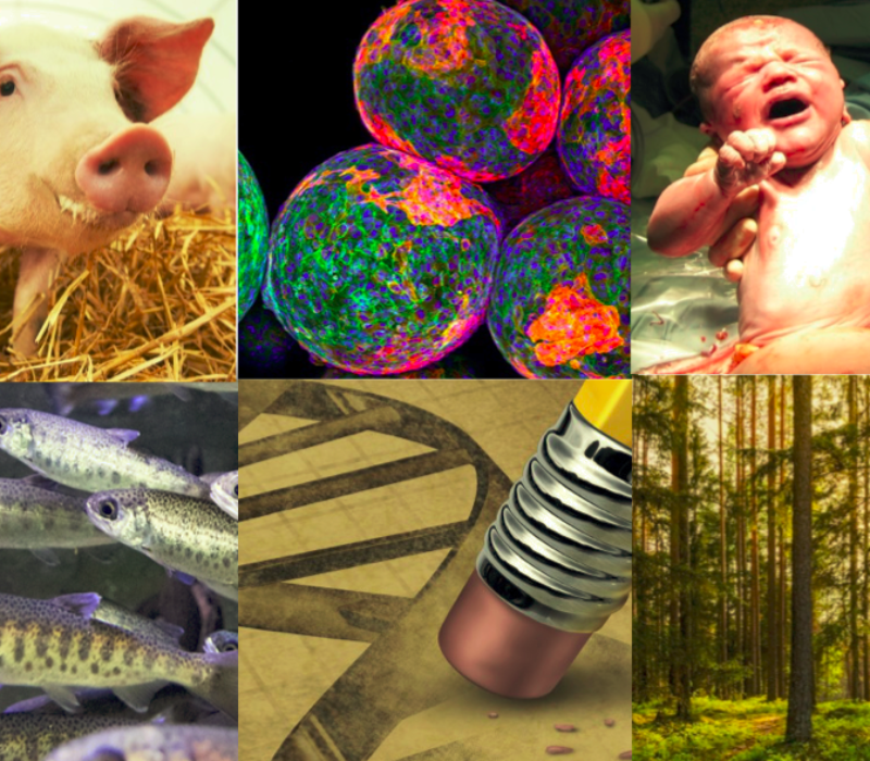 Vi strøymer Bioteknologidagen direkte tysdag 14. februar