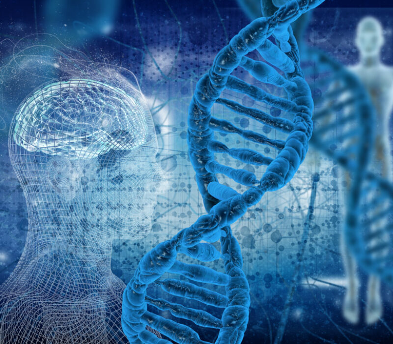 Leiar i GENialt: I forskinga sitt fotefar