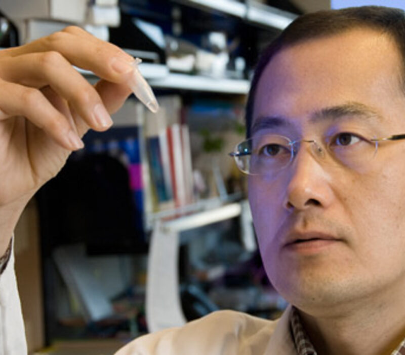 Stamceller: Satsar på superdonorar