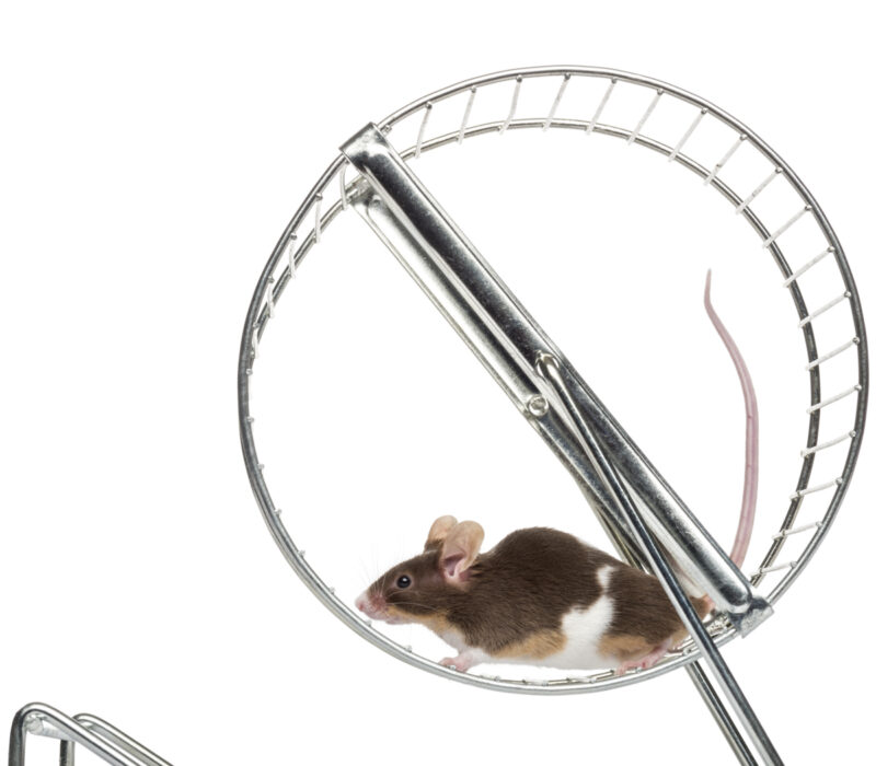 Toppform i pilleform