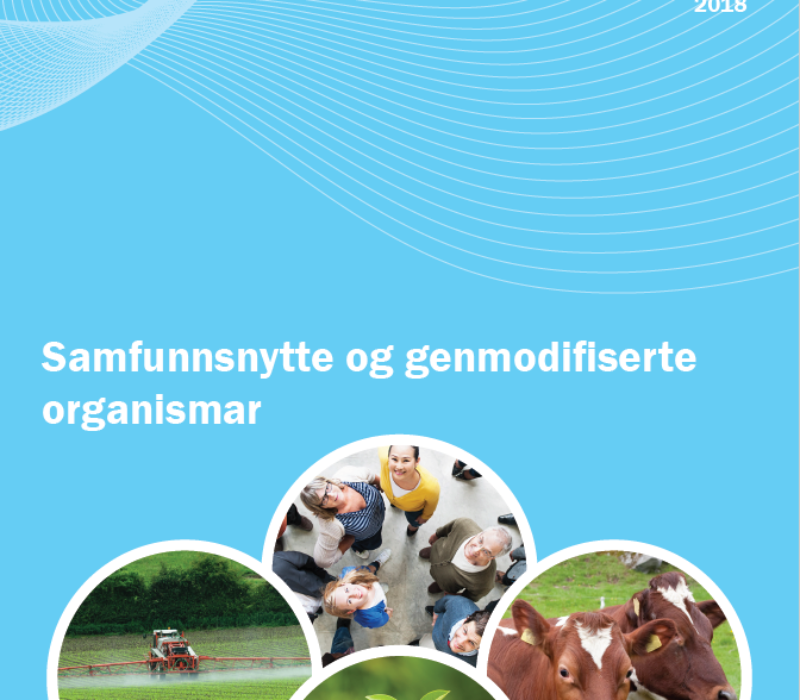 Hvordan vurdere samfunnsnytte av GMO-er?