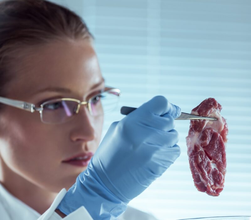 I GENialt: Saken er (lab)biff