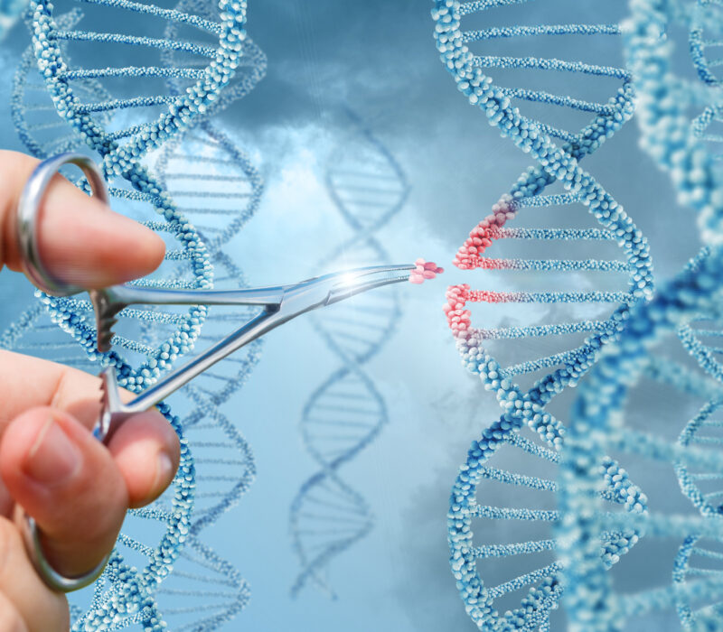 CRISPR-forskere får Kavliprisen i nanovitenskap