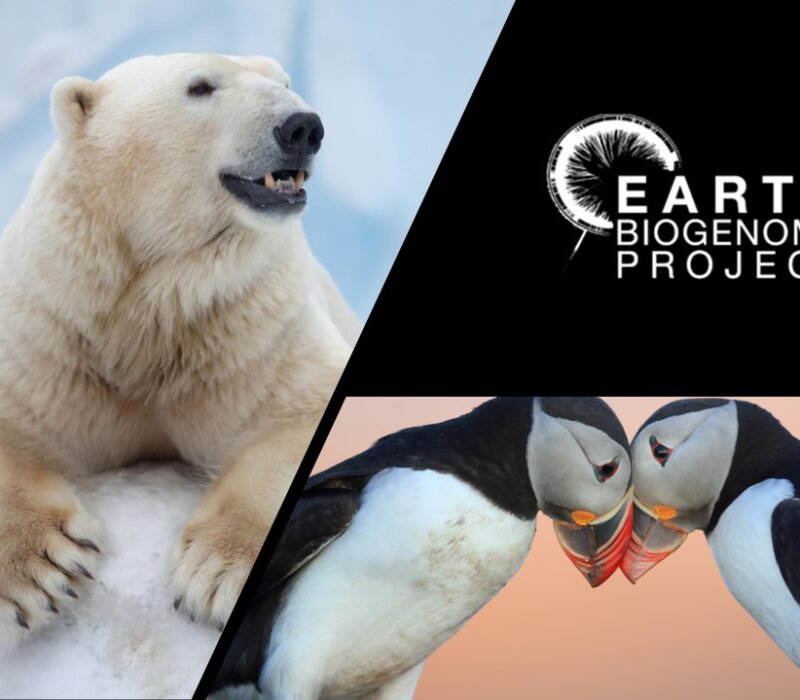 The Earth BioGenome Project – Exploring the Dark Matter of Biology