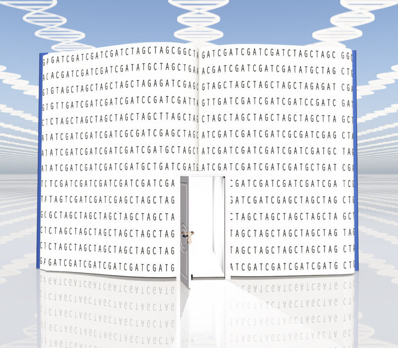 Temaside til ungdomsskoleprosjekt: «Genbokas» hemmeligheter