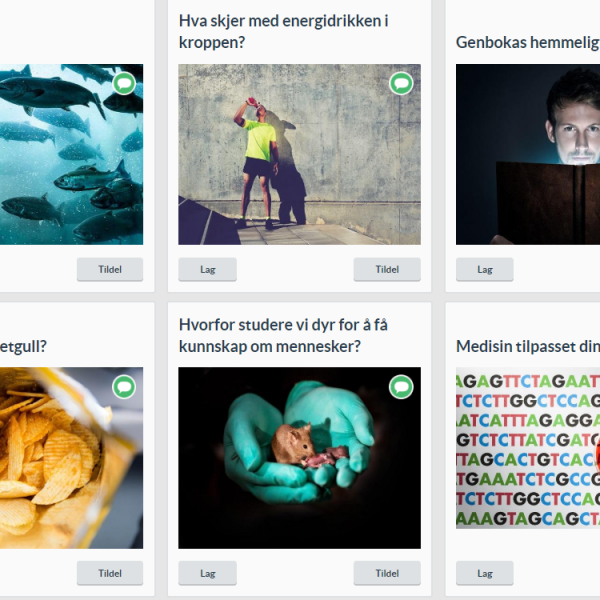 Workshop for lærere: Nytt digitalt verktøy for ungdomsskolen