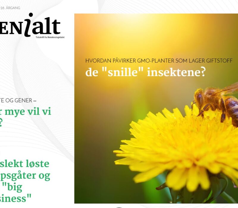 Nytt GENialt – les oss på nettbrett og mobil