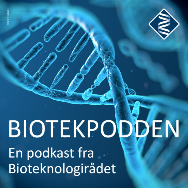 Ukens gjest: Synne Lerhol