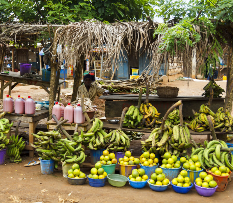 I GENialt: Genredigerte bananer – fremtiden for afrikanske bønder?