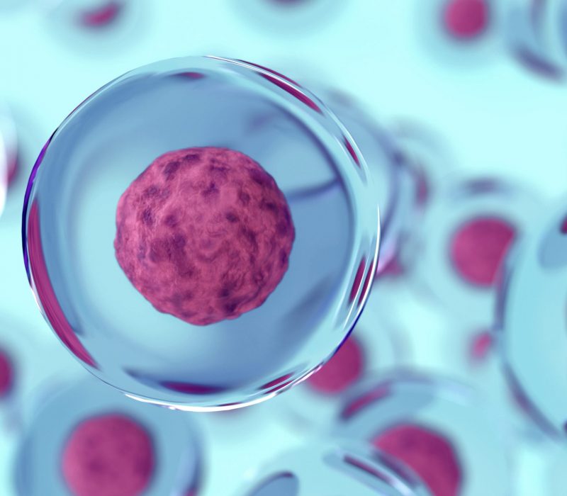 Cellene som har redda 10 millionar liv