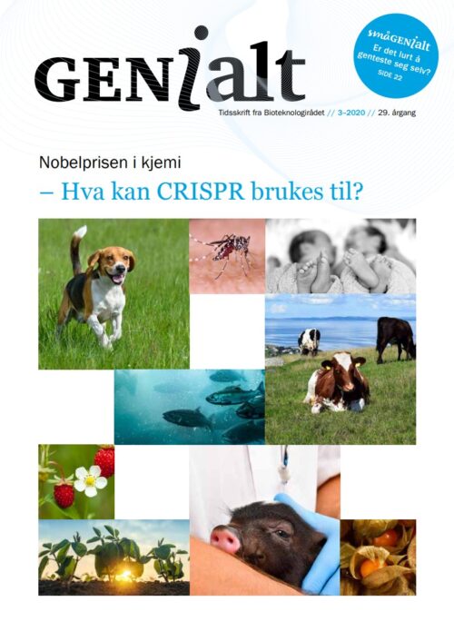 GENialt 3-2020