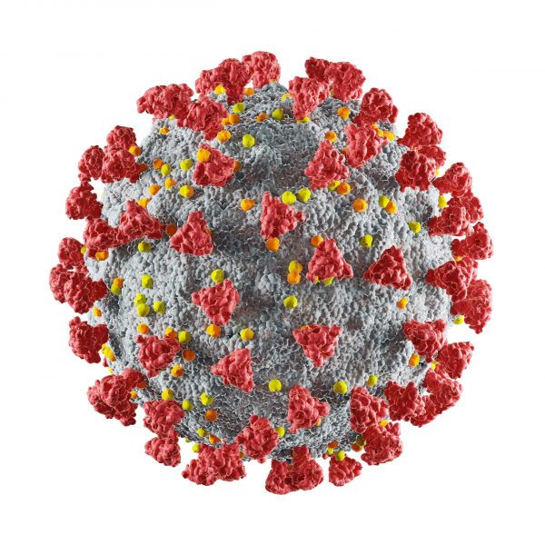 The Ethics of the Covid-19 Pandemic: Nordic Perspectives