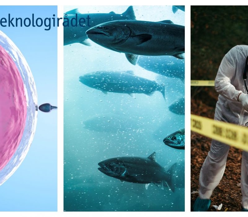 To dager – fire byer: Bioteknologidagen 2021