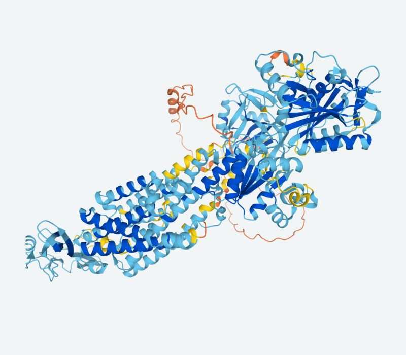 I GENialt: Proteinfolding største gjennombrudd i 2021