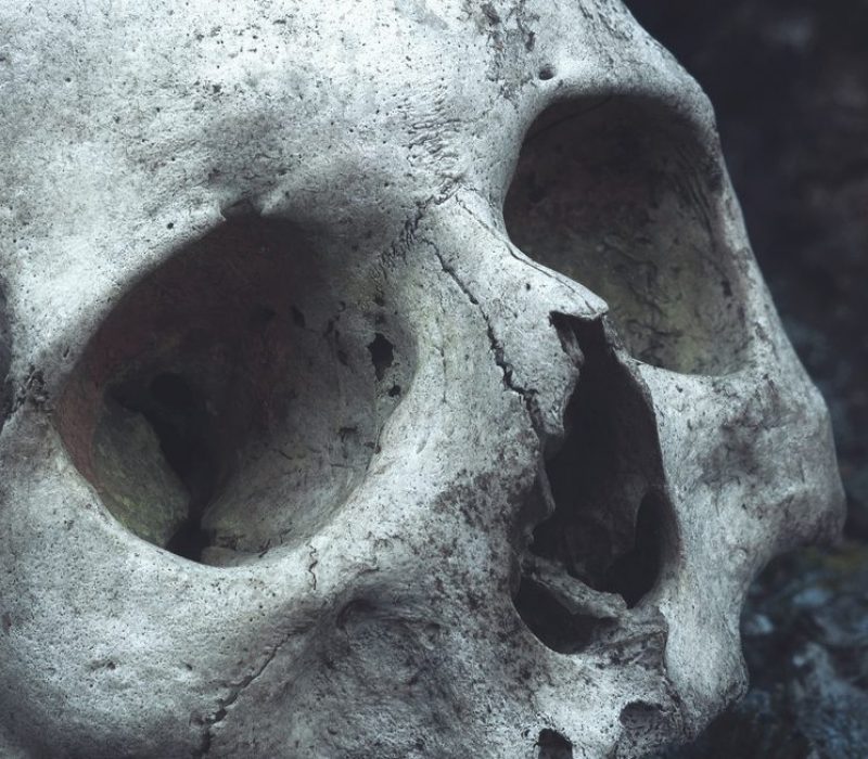 I GENialt: Et portrett av en ny menneskeart