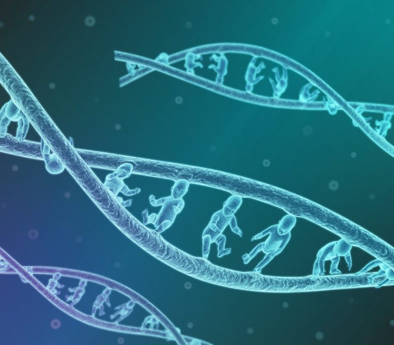 I GENialt: CRISPR-babyen er et faktum. Hva nå?