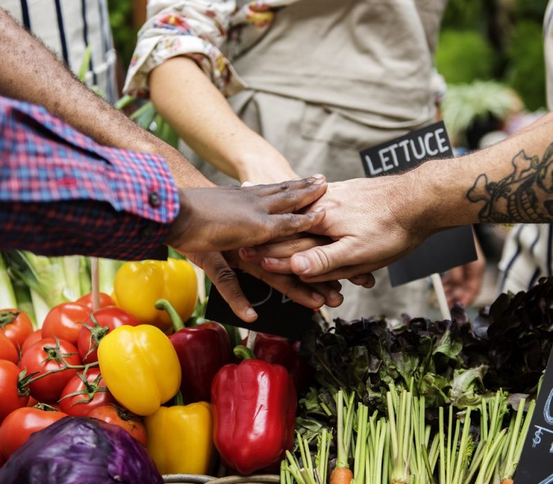 I GENialt: GMO – til gavn eller ulempe for samfunnet?