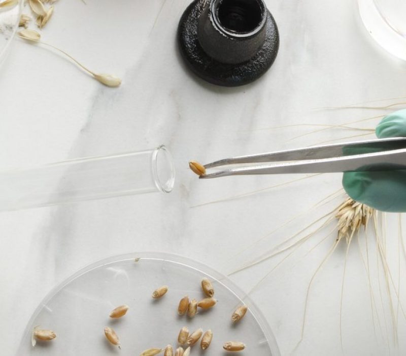 I GENialt: Brexit – genredigerte konsekvenser