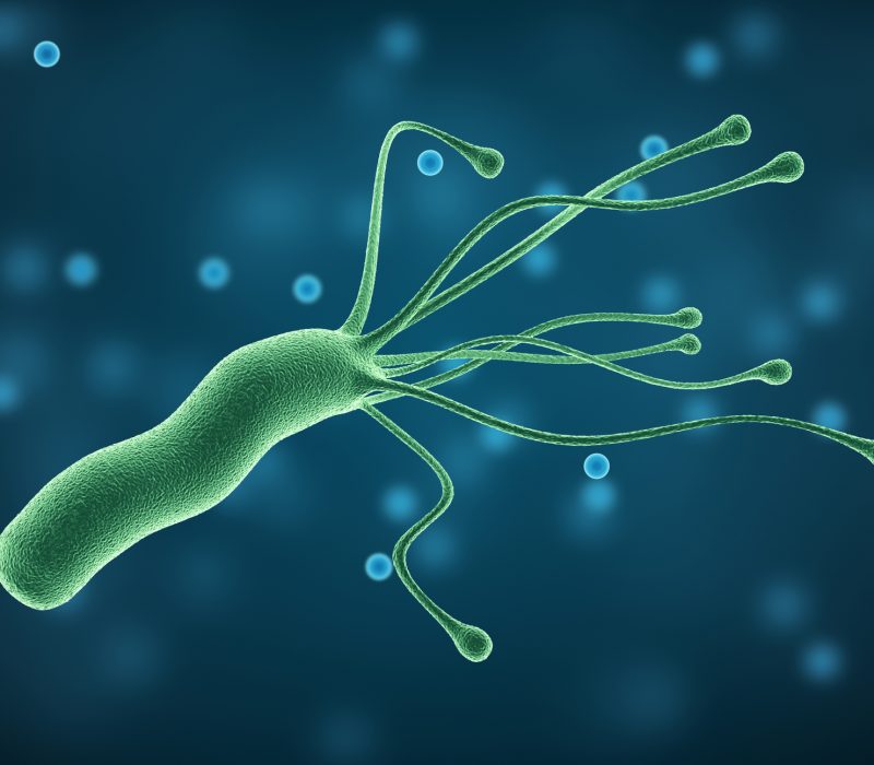 I GENialt: Levende medisin