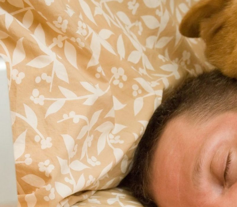 I GENialt: Din innebygde klokke er styrt av gener