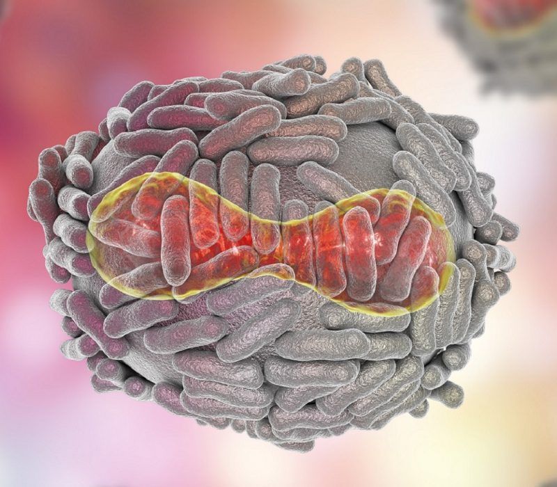 I GENialt: Utvikler medisin til personer med Downs