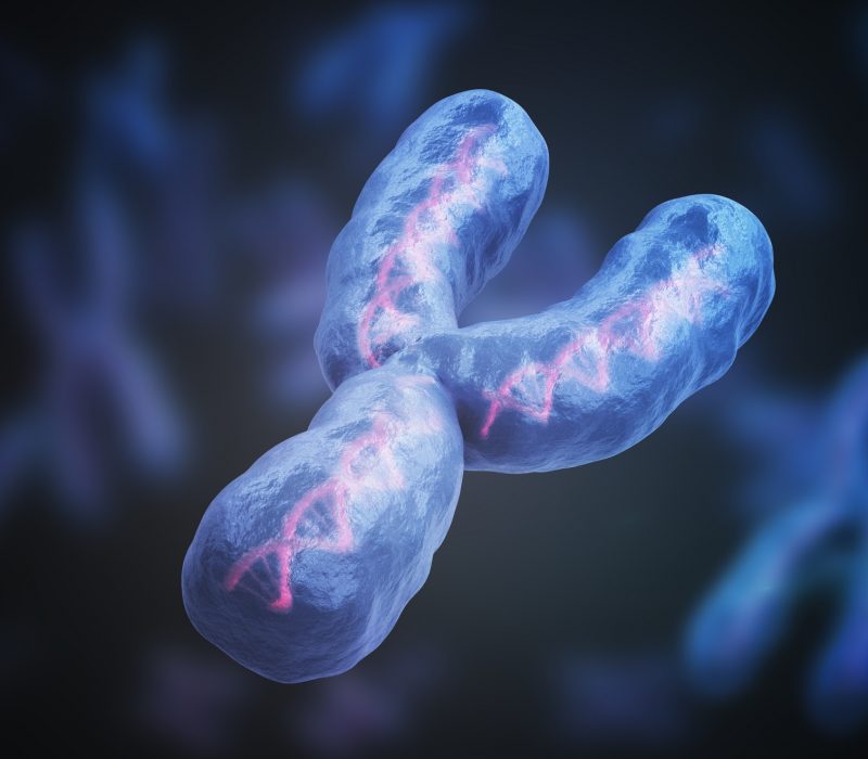 I GENialt: Y-kromosomet avslører sedelighetsforbrytere