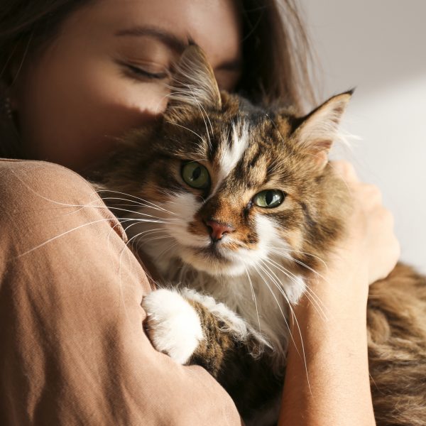 I GENialt: Skal det være en allergivennlig Crispr-katt?