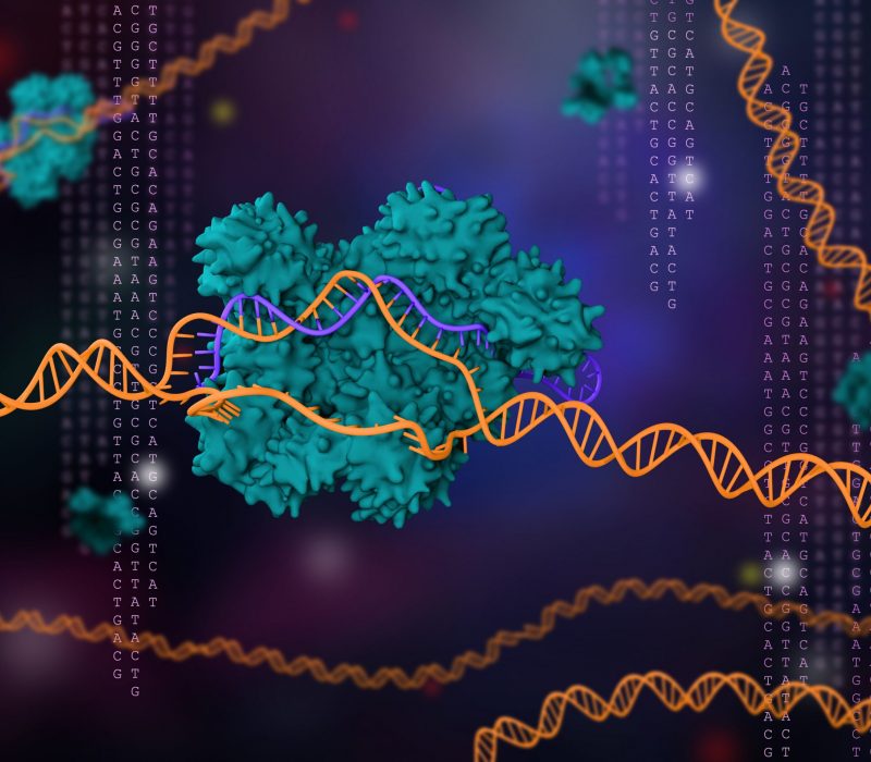 I GENialt: Ny metode reduserer risiko ved Crispr