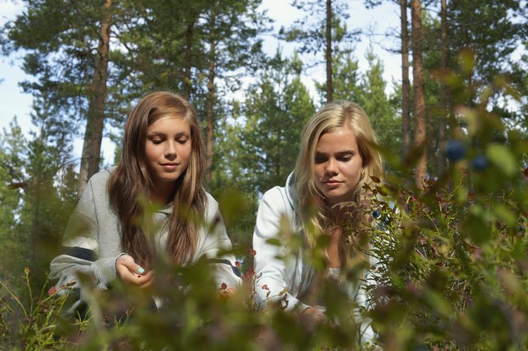 unge kvinner, søstre, som plukker bær i skogen