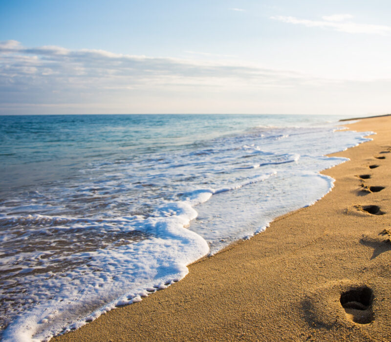 DNA fra løse luften